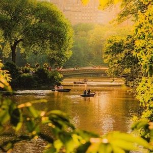 Meet your Posher, Alexa